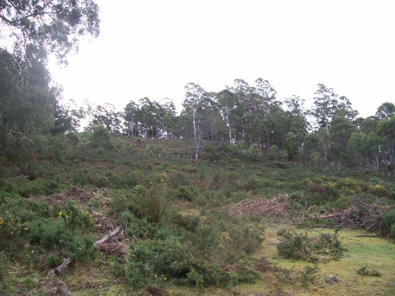 lot 4 Esk Main Road, St Marys TAS 7215
