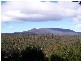 lot 4 Esk Main Road, St Marys TAS 7215