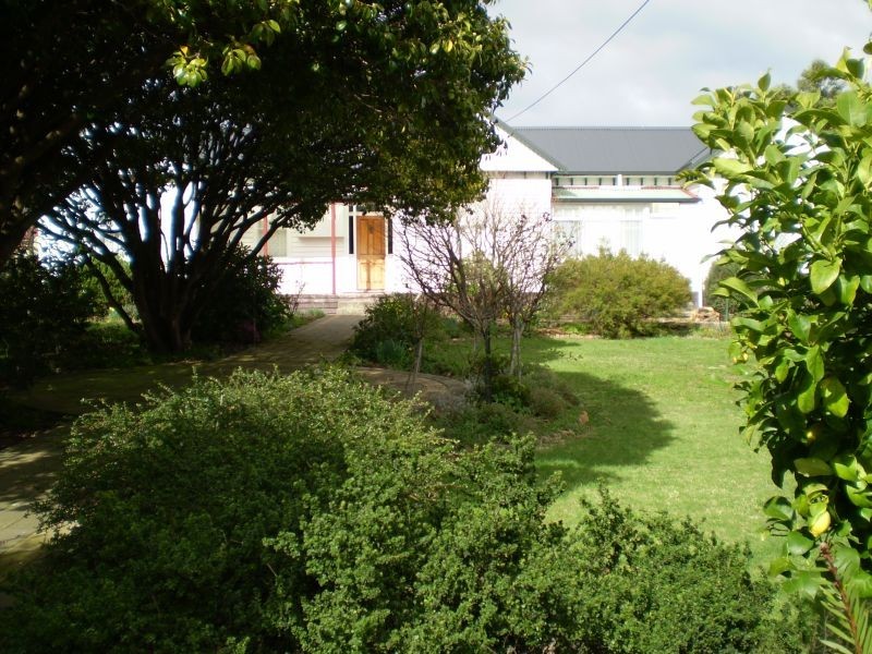 53 Arthur Street, Scottsdale TAS 7260