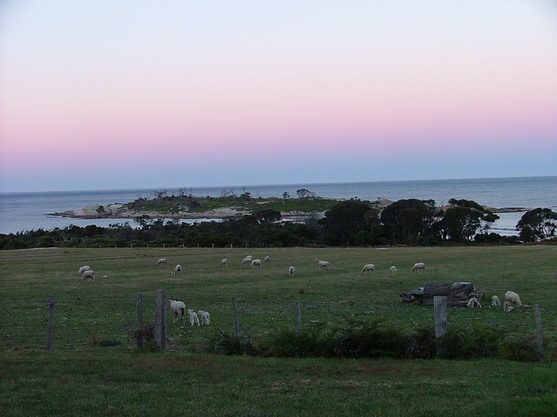 47 Tasman Highway, Bicheno TAS 7215