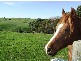 157 Mill Road, Archies Creek VIC 3995