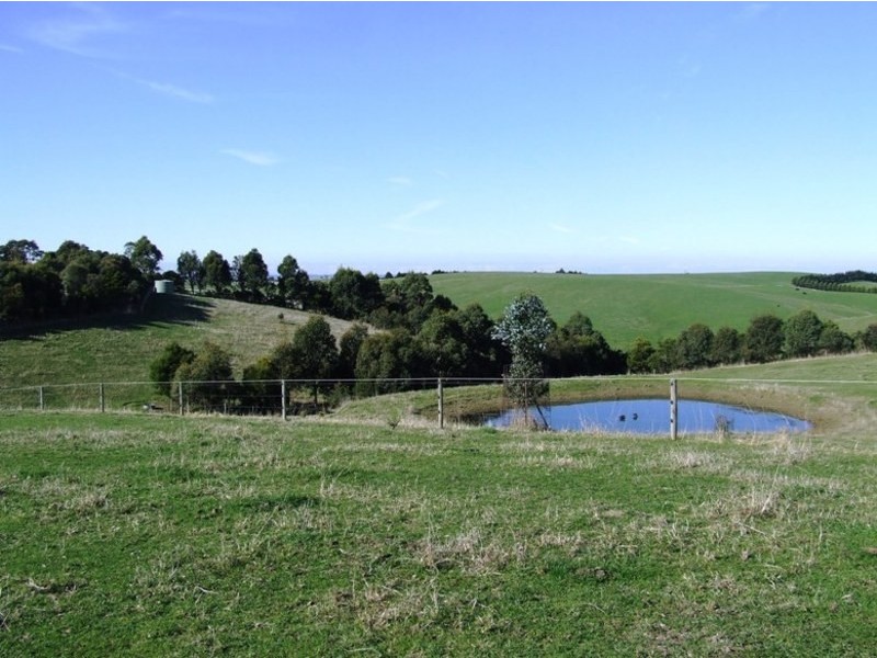 157 Mill Road, Archies Creek VIC 3995