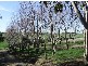 157 Mill Road, Archies Creek VIC 3995