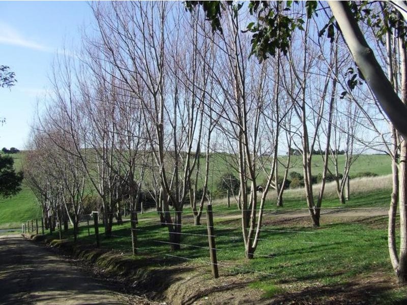 157 Mill Road, Archies Creek VIC 3995