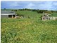 157 Mill Road, Archies Creek VIC 3995