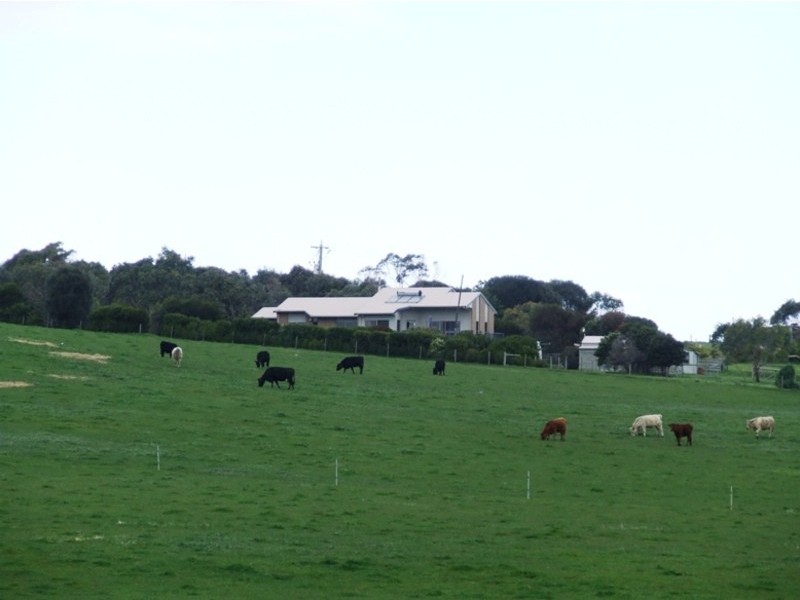 50 Potters Hill Road, San Remo VIC 3925