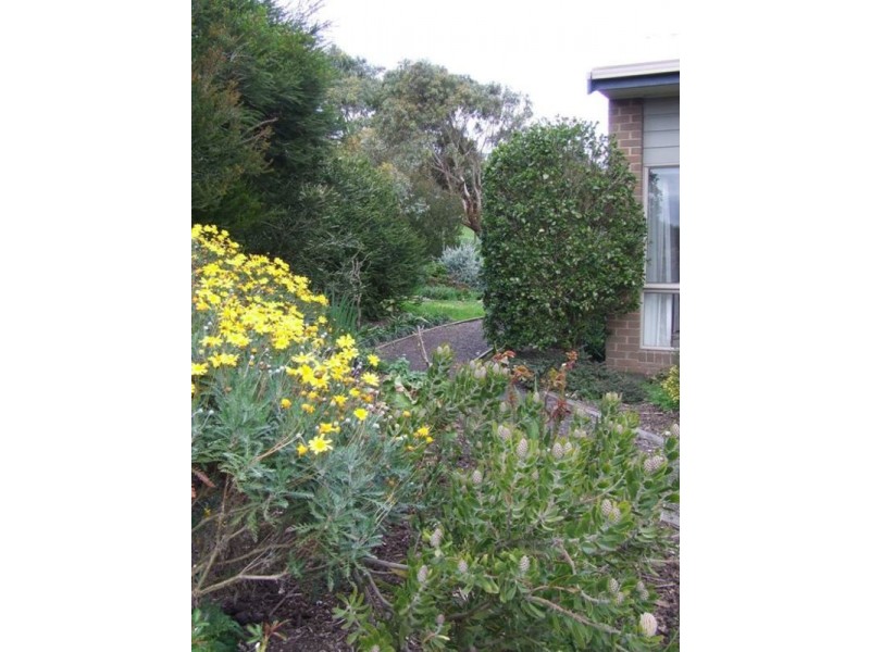 50 Potters Hill Road, San Remo VIC 3925