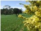 Lot 2/50 Potters Hill Road, San Remo VIC 3925