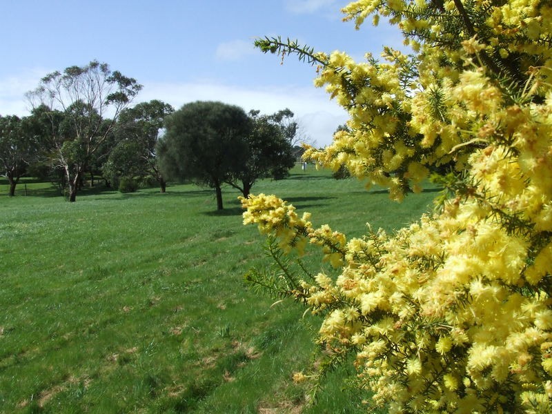 Lot 2/50 Potters Hill Road, San Remo VIC 3925