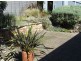 28 Panorama Drive, San Remo VIC 3925
