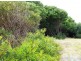 97 Tampa Road, Cape Woolamai VIC 3925