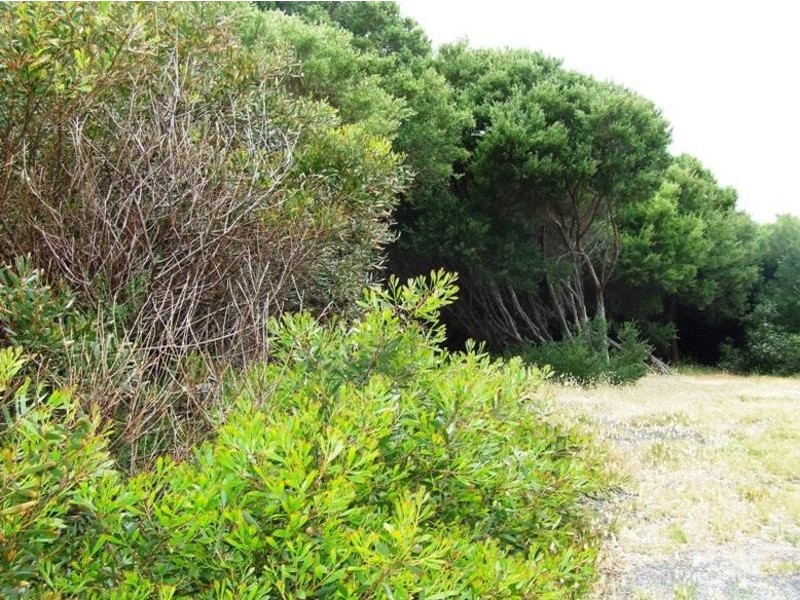 97 Tampa Road, Cape Woolamai VIC 3925