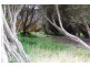 97 Tampa Road, Cape Woolamai VIC 3925