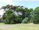 75 Woolamai Beach Road, Cape Woolamai VIC 3925