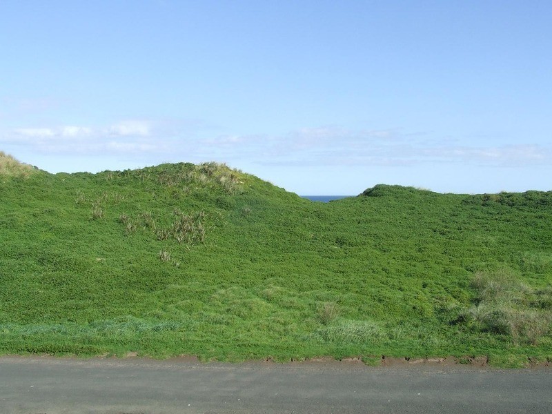 198 The Esplanade, Surf Beach VIC 3922