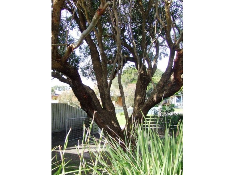 66 Tampa Road, Cape Woolamai VIC 3925