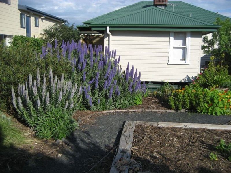 44 Lantana Road, Cape Woolamai VIC 3925