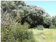 97 Tampa Road, Cape Woolamai VIC 3925