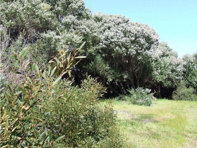 97 Tampa Road, Cape Woolamai VIC 3925