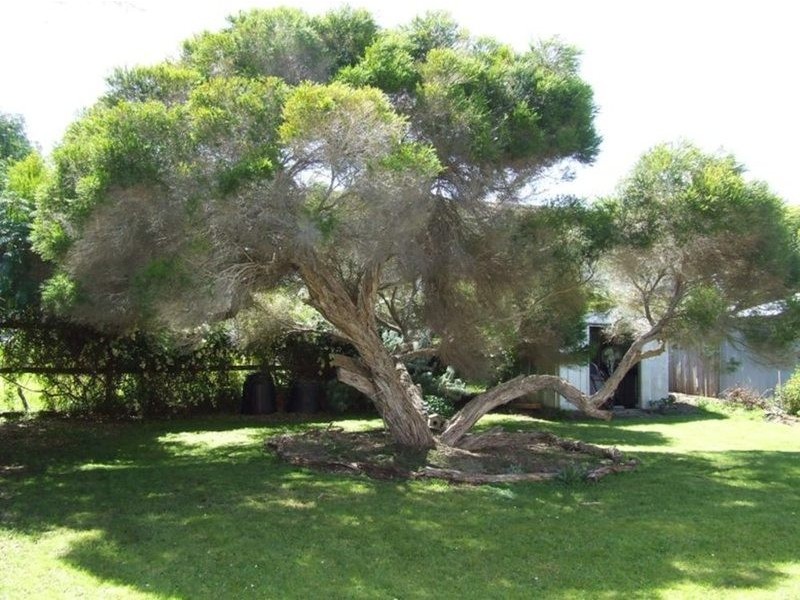 49 Shetland Heights Road, San Remo VIC 3925