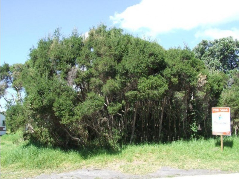 39 Princeton Avenue, Cape Woolamai VIC 3925