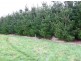 Lot 2 Shetland Heights Road, San Remo VIC 3925