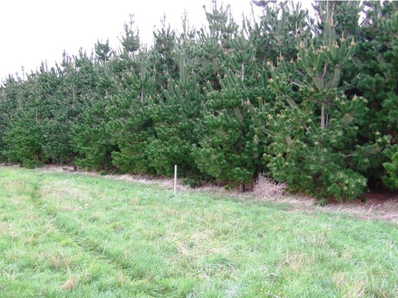 Lot 2 Shetland Heights Road, San Remo VIC 3925