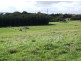 Lot 2 Shetland Heights Road, San Remo VIC 3925