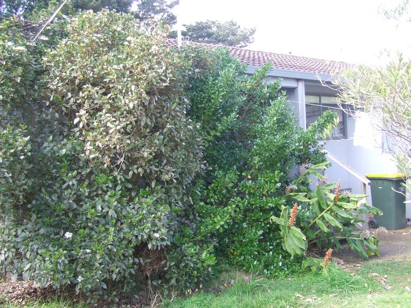 17 Bridgeview Drive, Cape Woolamai VIC 3925