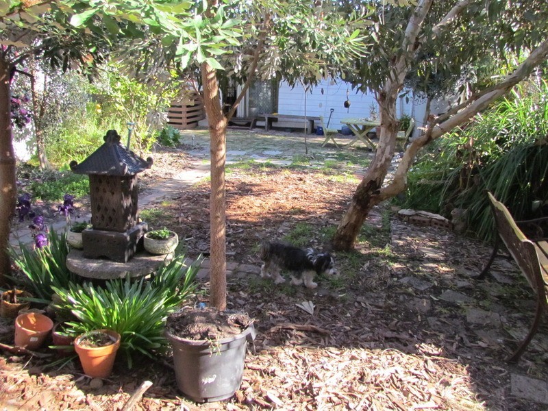 23 Seesburg Street, Cape Woolamai VIC 3925