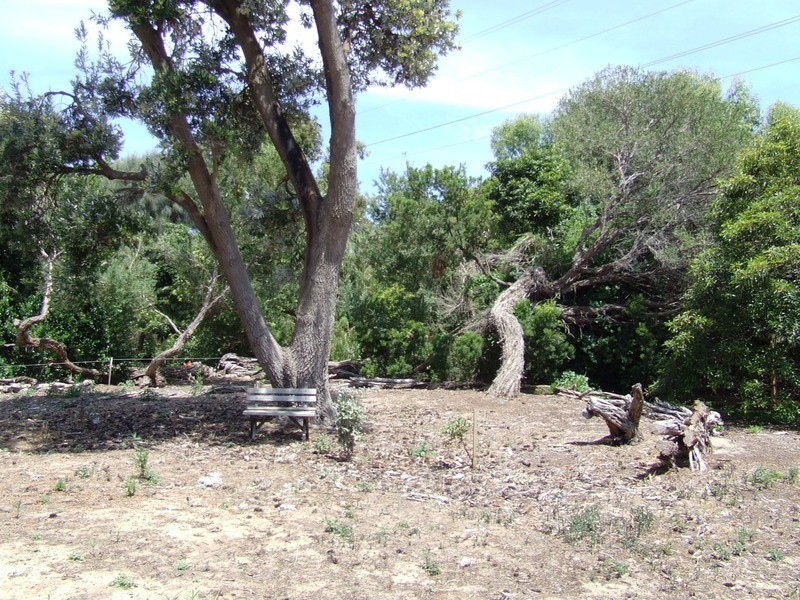 1/1 Ocean Grove, San Remo VIC 3925