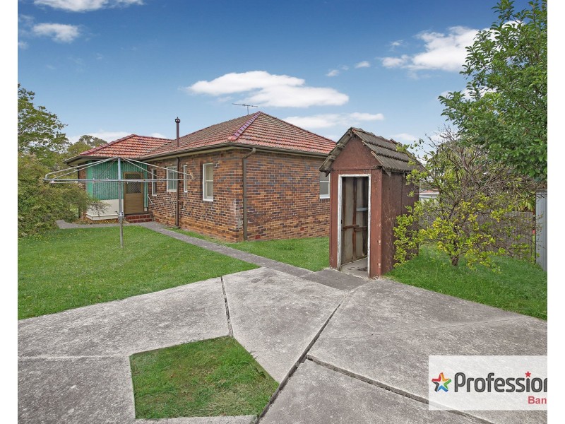 20 Sealy Street, Mount Lewis NSW 2190