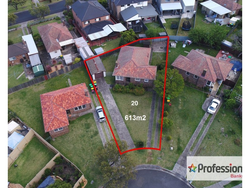 20 Sealy Street, Mount Lewis NSW 2190