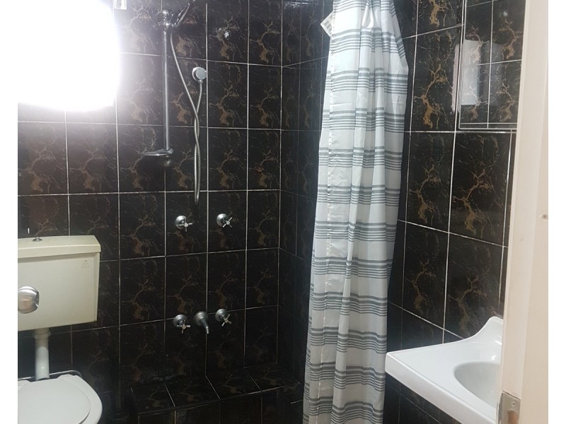 134 Wattle Street, Punchbowl NSW 2196