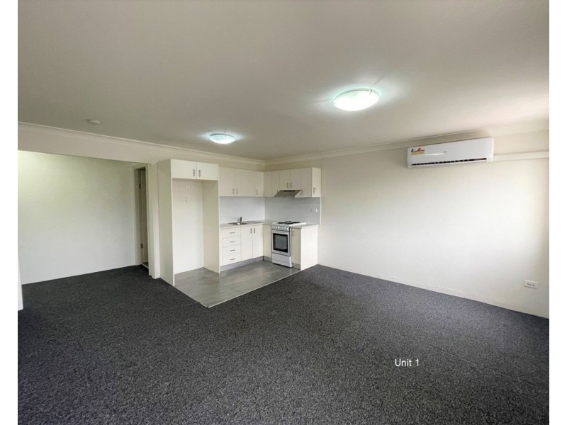 103 Cann Street, Bass Hill NSW 2197