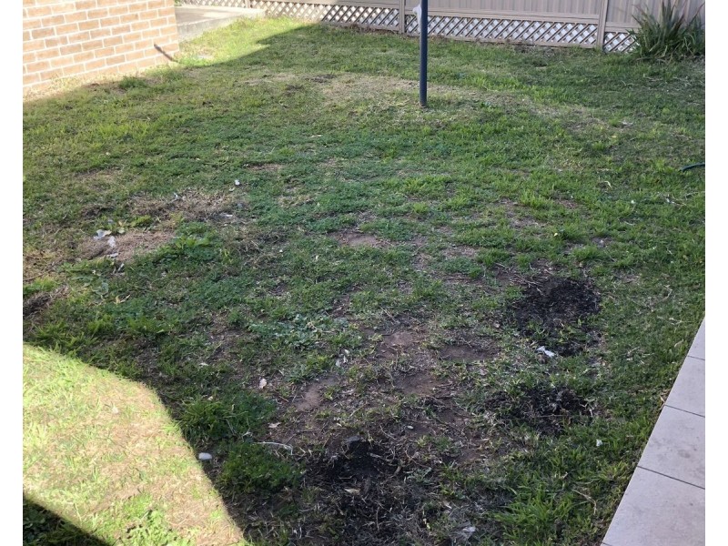 3/231 Cooper Road, Yagoona NSW 2199