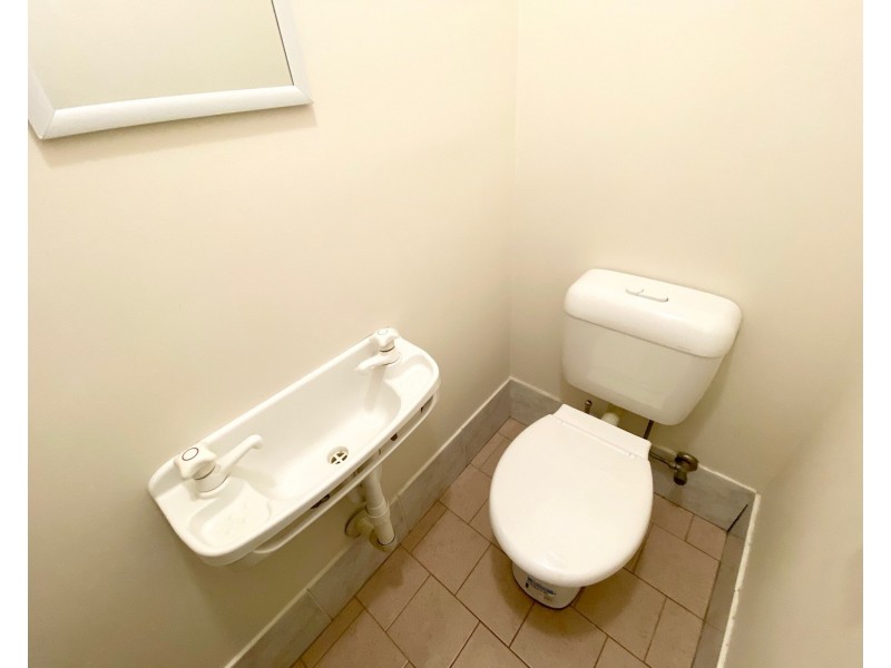 101A Denman Road, Georges Hall NSW 2198