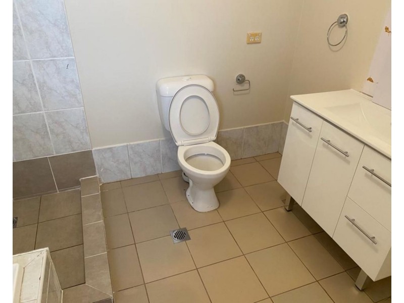 101A Denman Road, Georges Hall NSW 2198