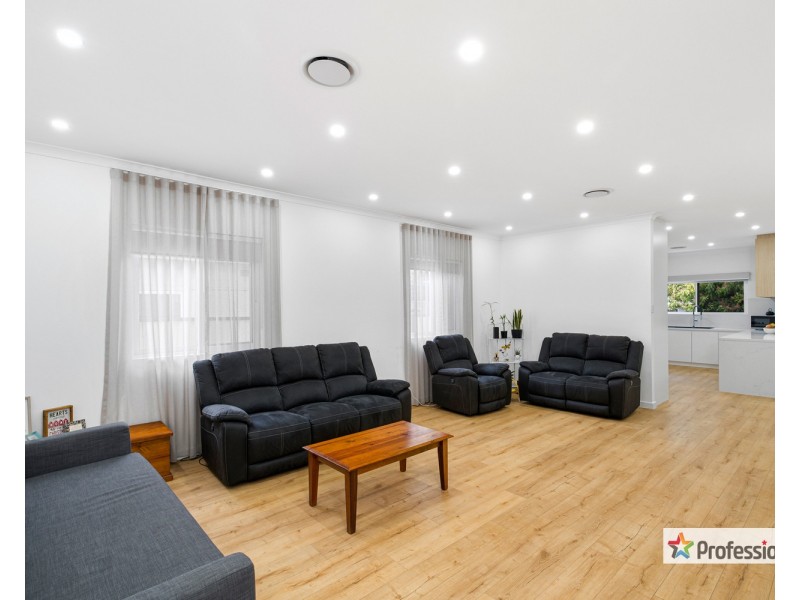 96 Renown Avenue, Wiley Park NSW 2195