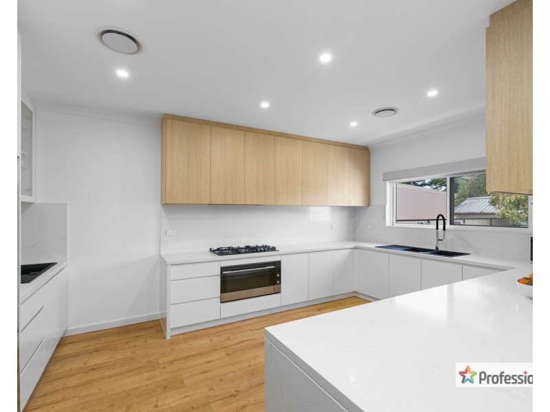 96 Renown Avenue, Wiley Park NSW 2195