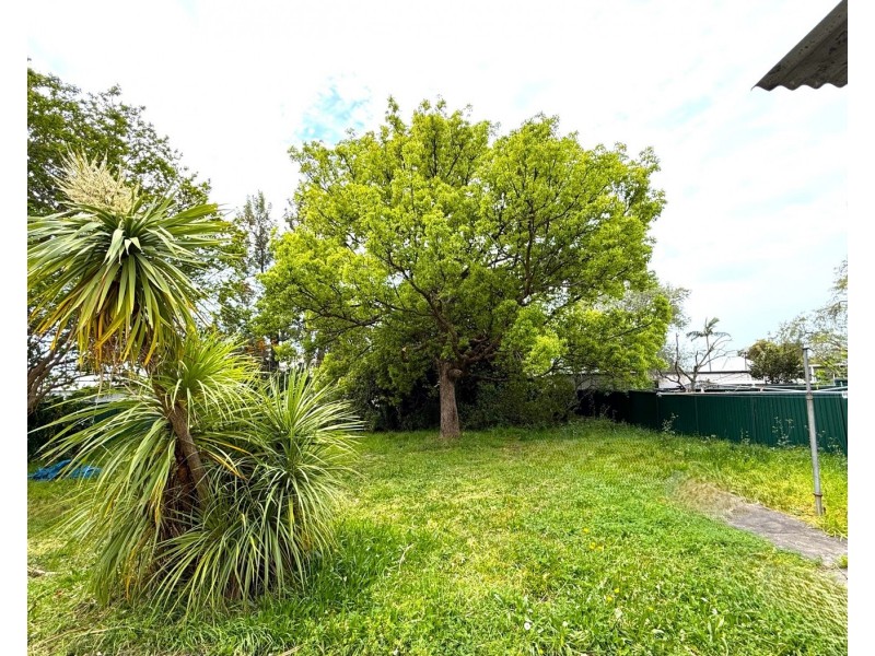 94 Rosemont Street, Punchbowl NSW 2196