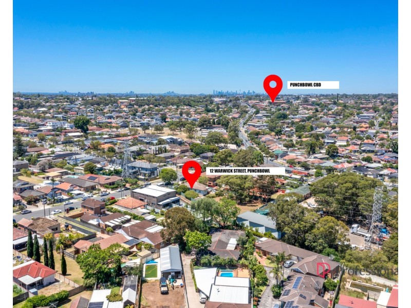 12 Warwick Street, Punchbowl NSW 2196