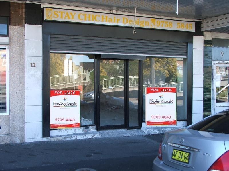 11 Bruest Place, Punchbowl NSW 2196