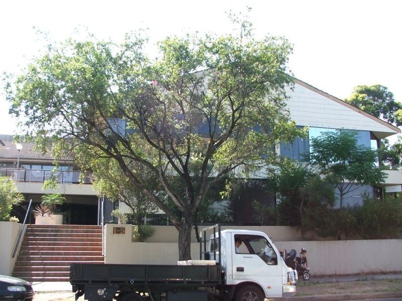 25/1-5 Jacob Street, Bankstown NSW 2200