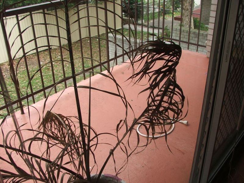 8/166 Greenacre Road, Bankstown NSW 2200