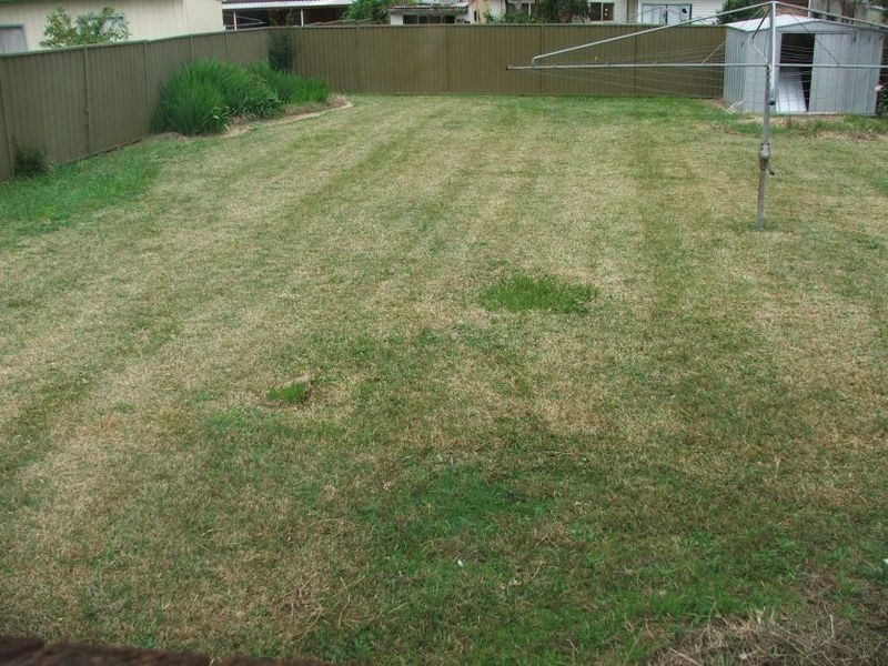 176 South Terrace, Bankstown NSW 2200