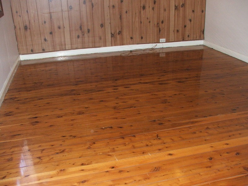 16 Frederick Street, Bankstown NSW 2200