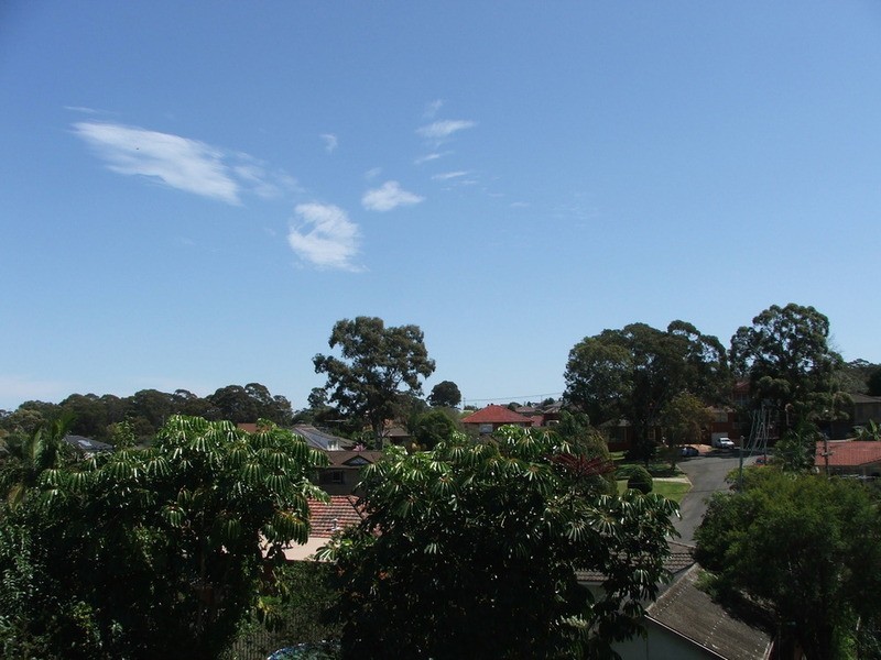 Georges Hall NSW 2198