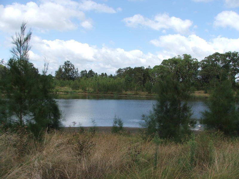 51 Sir Warwick Fairfax Drive, Harrington Park NSW 2567