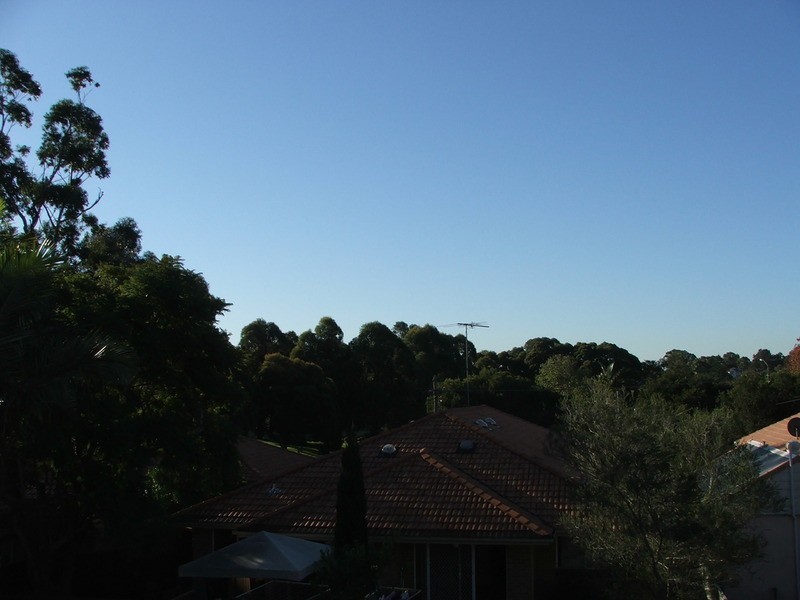 9 Lily Avenue, Riverwood NSW 2210